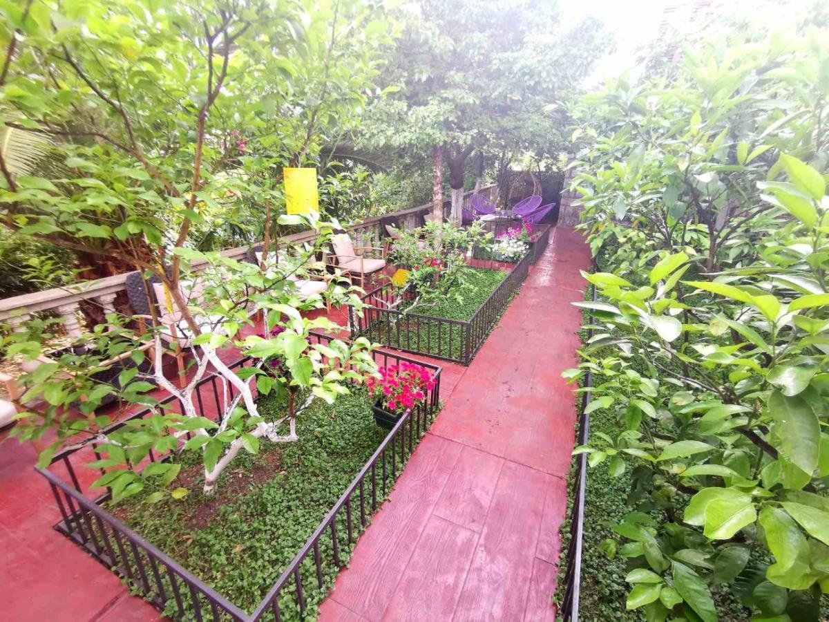 Hotel Alkima Котор Экстерьер фото